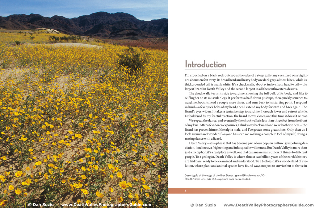 Death Valley Photographers Guide - Introduction